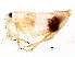  ( - BIOUG18118-D07)  @12 [ ] CreativeCommons - Attribution (2016) CBG Photography Group Centre for Biodiversity Genomics