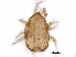  ( - BIOUG18233-E10)  @13 [ ] CreativeCommons - Attribution (2015) CBG Photography Group Centre for Biodiversity Genomics