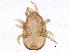  ( - BIOUG18233-E10)  @12 [ ] CreativeCommons - Attribution (2015) CBG Photography Group Centre for Biodiversity Genomics