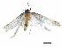  ( - BIOUG18234-G11)  @12 [ ] CreativeCommons - Attribution (2015) CBG Photography Group Centre for Biodiversity Genomics