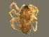  ( - BIOUG11434-B11)  @14 [ ] CreativeCommons - Attribution (2014) CBG Photography Group Centre for Biodiversity Genomics