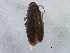 ( - BIOUG11724-D09)  @14 [ ] CreativeCommons - Attribution (2014) CBG Photography Group Centre for Biodiversity Genomics