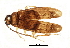  ( - BIOUG11939-E04)  @14 [ ] CreativeCommons - Attribution (2014) CBG Photography Group Centre for Biodiversity Genomics