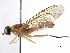  ( - BIOUG12960-A06)  @11 [ ] CreativeCommons - Attribution (2015) CBG Photography Group Centre for Biodiversity Genomics