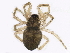  ( - BIOUG13772-C08)  @13 [ ] CreativeCommons - Attribution (2014) CBG Photography Group Centre for Biodiversity Genomics