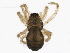  ( - BIOUG13772-D04)  @13 [ ] CreativeCommons - Attribution (2014) CBG Photography Group Centre for Biodiversity Genomics