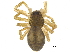  ( - BIOUG13772-D11)  @13 [ ] CreativeCommons - Attribution (2015) CBG Photography Group Centre for Biodiversity Genomics