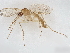  ( - BIOUG14269-B02)  @11 [ ] CreativeCommons - Attribution (2022) CBG Photography Group Centre for Biodiversity Genomics
