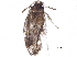  ( - BIOUG12280-C10)  @12 [ ] CreativeCommons - Attribution (2015) CBG Photography Group Centre for Biodiversity Genomics