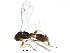  ( - BIOUG12351-B08)  @12 [ ] CreativeCommons - Attribution (2016) CBG Photography Group Centre for Biodiversity Genomics