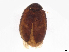  ( - BIOUG12353-D04)  @11 [ ] CreativeCommons - Attribution Share-Alike (2024) CBG Photography Group Centre for Biodiversity Genomics