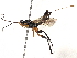  ( - BIOUG12555-F12)  @11 [ ] CreativeCommons - Attribution (2021) CBG Photography Group Centre for Biodiversity Genomics