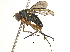  ( - BIOUG12659-D02)  @15 [ ] CreativeCommons - Attribution (2014) CBG Photography Group Centre for Biodiversity Genomics