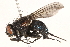  ( - BIOUG13903-D09)  @14 [ ] CreativeCommons - Attribution (2015) CBG Photography Group Centre for Biodiversity Genomics