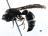  ( - BIOUG17252-G05)  @12 [ ] CreativeCommons - Attribution (2016) CBG Photography Group Centre for Biodiversity Genomics