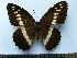  ( - SAT-Aul-2-2)  @11 [ ] Copyright  zfyang@uoguelph.ca Unspecified