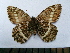  ( - SAT-Aul-3-1)  @11 [ ] Copyright  zfyang@uoguelph.ca Unspecified