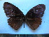  ( - SAT-Ely-2-1)  @14 [ ] Copyright  zfyang@uoguelph.ca Unspecified