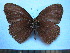  ( - SAT-Ely-2-1)  @13 [ ] Copyright  zfyang@uoguelph.ca Unspecified