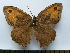  ( - SAT-Hyp-1-1)  @11 [ ] Copyright  zfyang@uoguelph.ca Unspecified