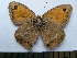  ( - SAT-Hyp-1-1)  @11 [ ] Copyright  zfyang@uoguelph.ca Unspecified
