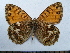  ( - SAT-Las-1-2)  @11 [ ] Copyright  zfyang@uoguelph.ca Unspecified