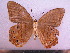 ( - SAT-Let-13-2)  @13 [ ] Copyright  zfyang@uoguelph.ca Unspecified