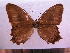  ( - SAT-Let-21-1)  @13 [ ] Copyright  zfyang@uoguelph.ca Unspecified