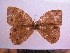  ( - SAT-Let-26-1)  @13 [ ] Copyright  zfyang@uoguelph.ca Unspecified