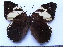  ( - SAT-Pen-1-5)  @11 [ ] Copyright  zfyang@uoguelph.ca Unspecified