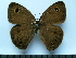  ( - SAT-Ypt-3-2)  @11 [ ] Copyright  zfyang@uoguelph.ca Unspecified