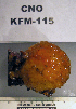  ( - KFM-115)  @11 [ ] No Rights Reserved  Unspecified Unspecified