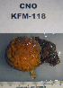  ( - KFM-118)  @11 [ ] No Rights Reserved  Unspecified Unspecified