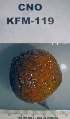  ( - KFM-119)  @11 [ ] No Rights Reserved  Unspecified Unspecified