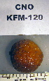  ( - KFM-120)  @11 [ ] No Rights Reserved  Unspecified Unspecified