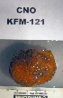  ( - KFM-121)  @11 [ ] No Rights Reserved  Unspecified Unspecified