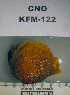  ( - KFM-122)  @11 [ ] No Rights Reserved  Unspecified Unspecified