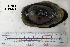  ( - OGL-E01544)  @11 [ ] No Rights Reserved (2009) Unspecified Coastal Marine Biolabs