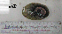  ( - OGL-E01545)  @11 [ ] No Rights Reserved (2009) Unspecified Coastal Marine Biolabs