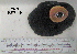  ( - OGL-E01547)  @11 [ ] No Rights Reserved (2009) Unspecified Coastal Marine Biolabs