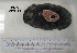  ( - OGL-E01548)  @11 [ ] No Rights Reserved (2009) Unspecified Coastal Marine Biolabs