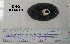  ( - OGL-E01549)  @11 [ ] No Rights Reserved (2009) Unspecified Coastal Marine Biolabs