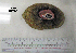  ( - OGL-E01550)  @11 [ ] No Rights Reserved (2009) Unspecified Coastal Marine Biolabs