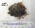  ( - OGL-E01552)  @11 [ ] No Rights Reserved (2009) Unspecified Coastal Marine Biolabs
