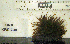  ( - KFM-239)  @11 [ ] No Rights Reserved  Unspecified Unspecified