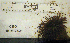  ( - KFM-240)  @11 [ ] No Rights Reserved  Unspecified Unspecified