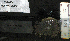  ( - KFM-242)  @11 [ ] No Rights Reserved  Unspecified Unspecified