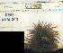  ( - KFM-243)  @11 [ ] No Rights Reserved  Unspecified Unspecified