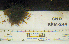  ( - KFM-244)  @11 [ ] No Rights Reserved  Unspecified Unspecified