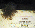  ( - KFM-246)  @11 [ ] No Rights Reserved  Unspecified Unspecified